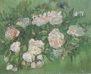 Vincent Van Gogh Still life:Pink Roses (nn04) oil on canvas